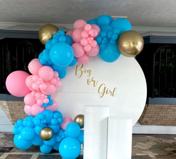 Pestal Balloons theme Decoration