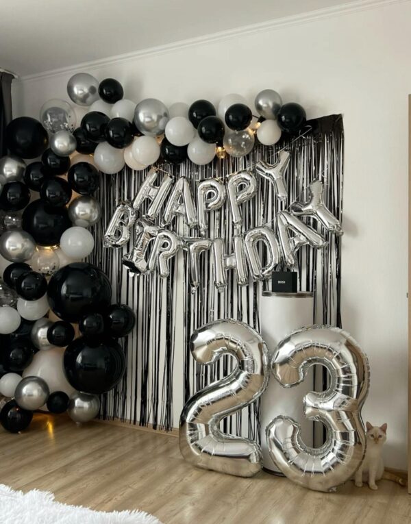 23rd Birthday Decor